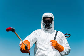 Trusted Poinciana, FL Pest Control Experts